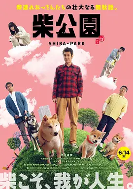 高清影视