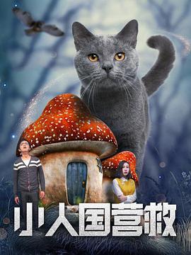 全集免费观看超清