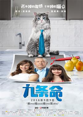 1080HD手机在线观看