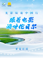 清晰在线播放观看